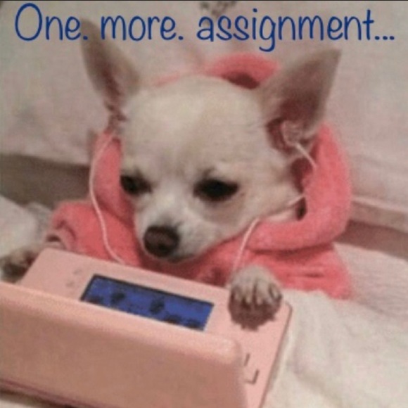 🌀CRUNCH TIME!🌀 - Picture 10 of 11